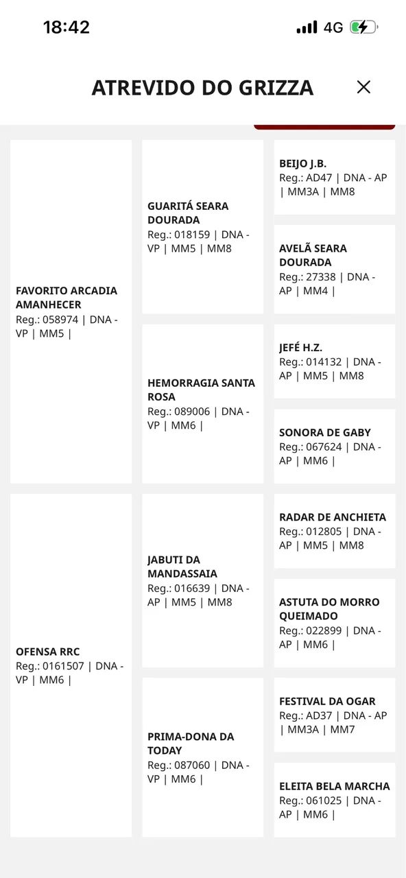 Potro Mangalarga Marchador Registrado - Foto 4