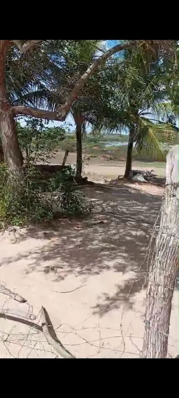 Terreno sítio barragem  - Foto 3