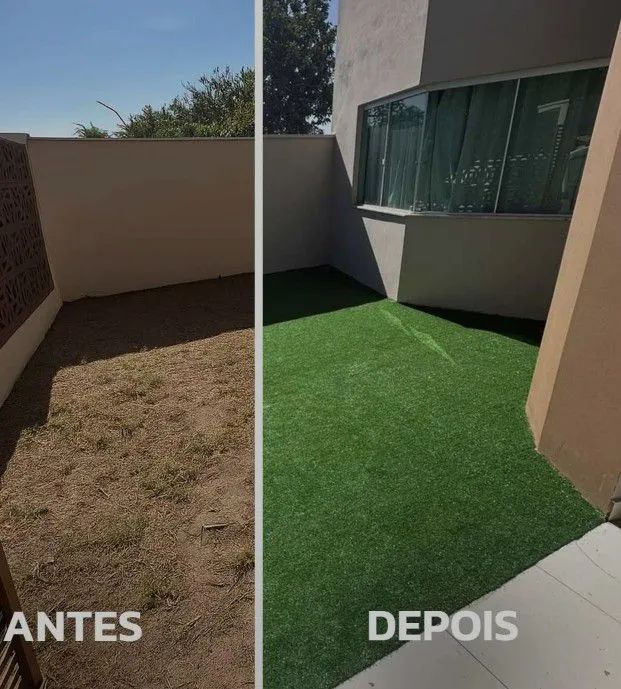 Grama decorativa  - Foto 3