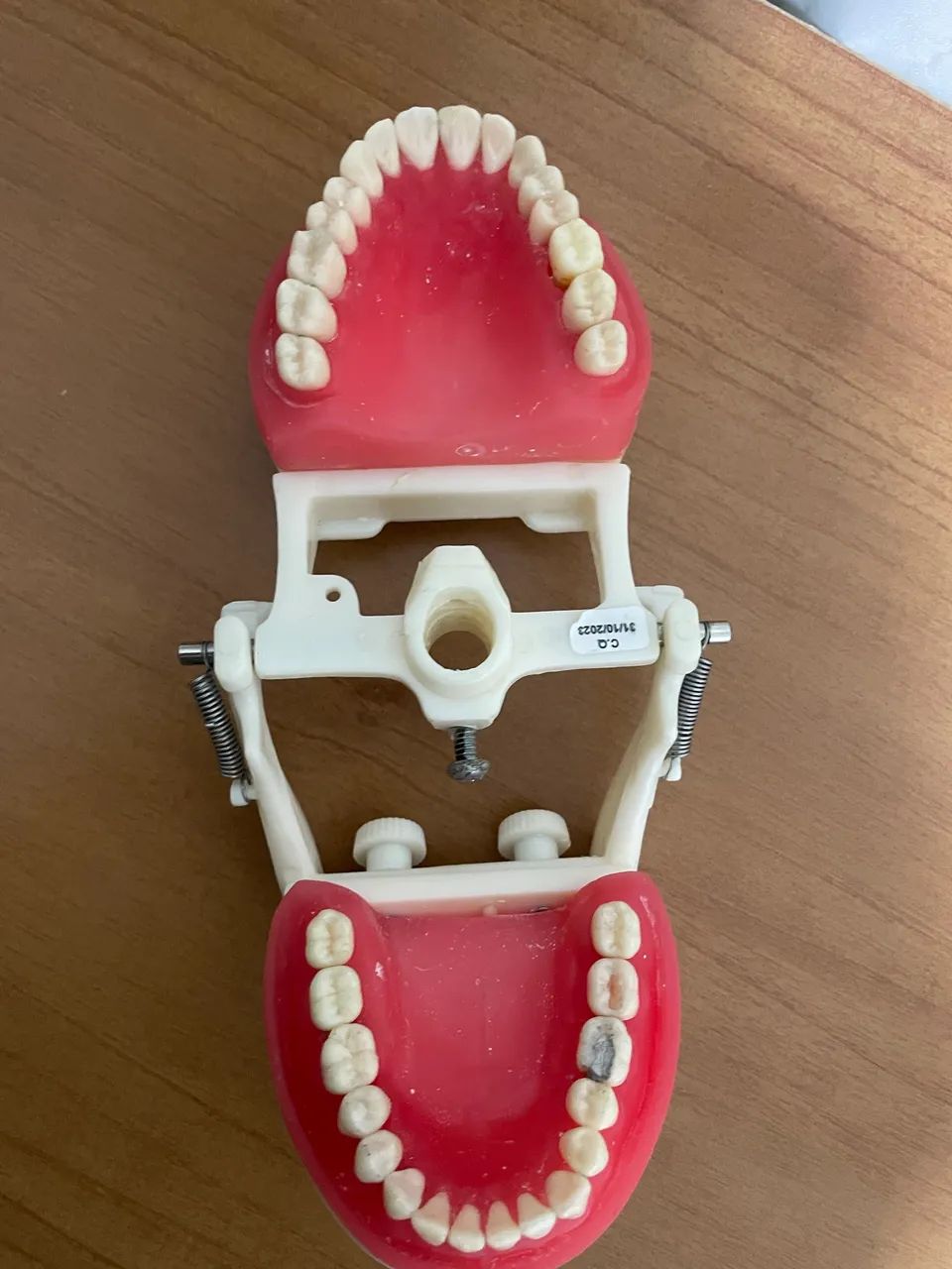 Manequim dentística pronew - Foto 4
