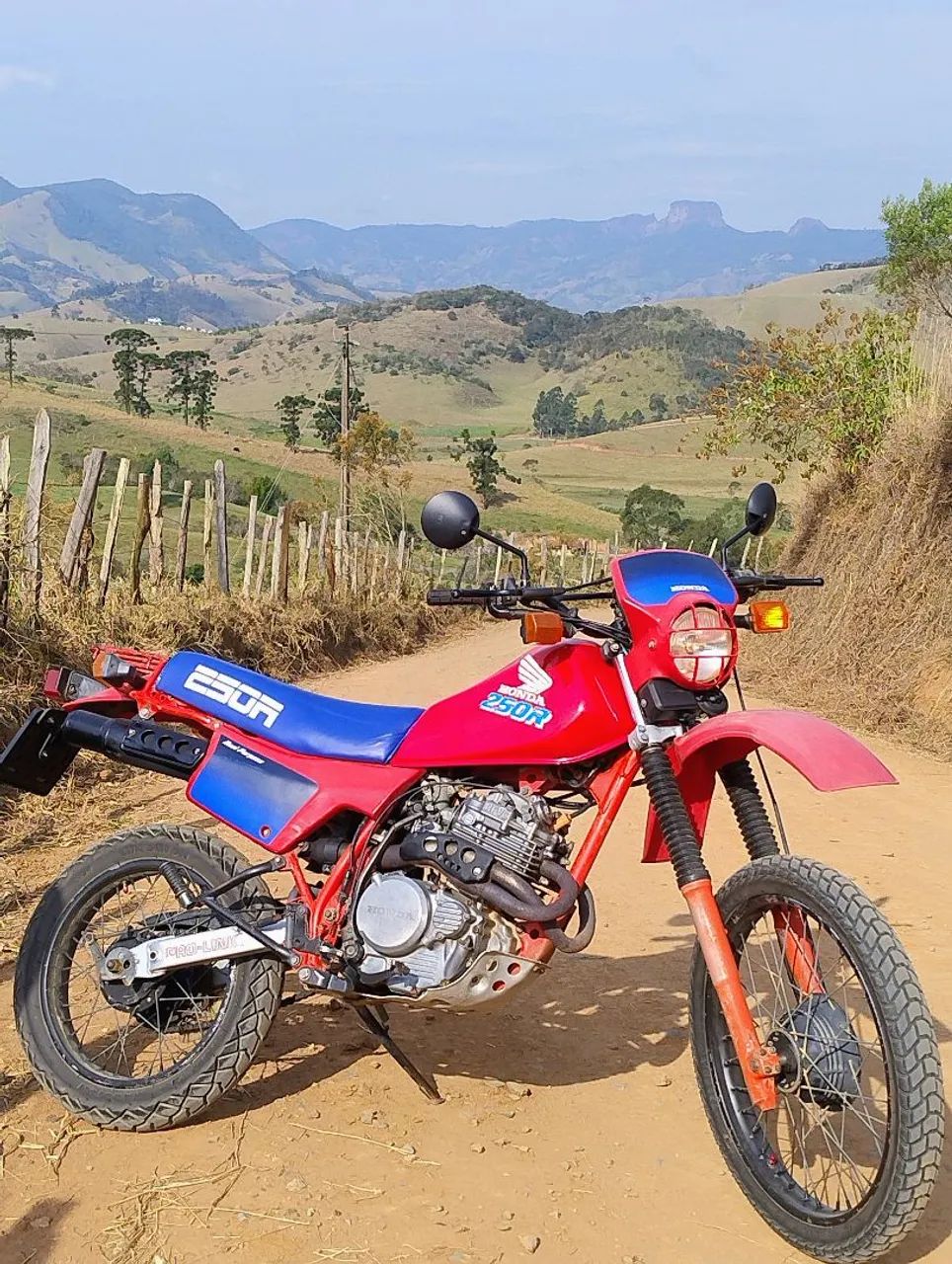 Xlx 250 