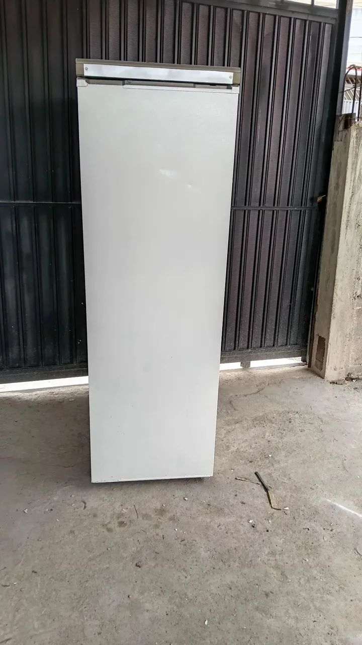 Vendo freezer com entrega grátis  - Foto 5