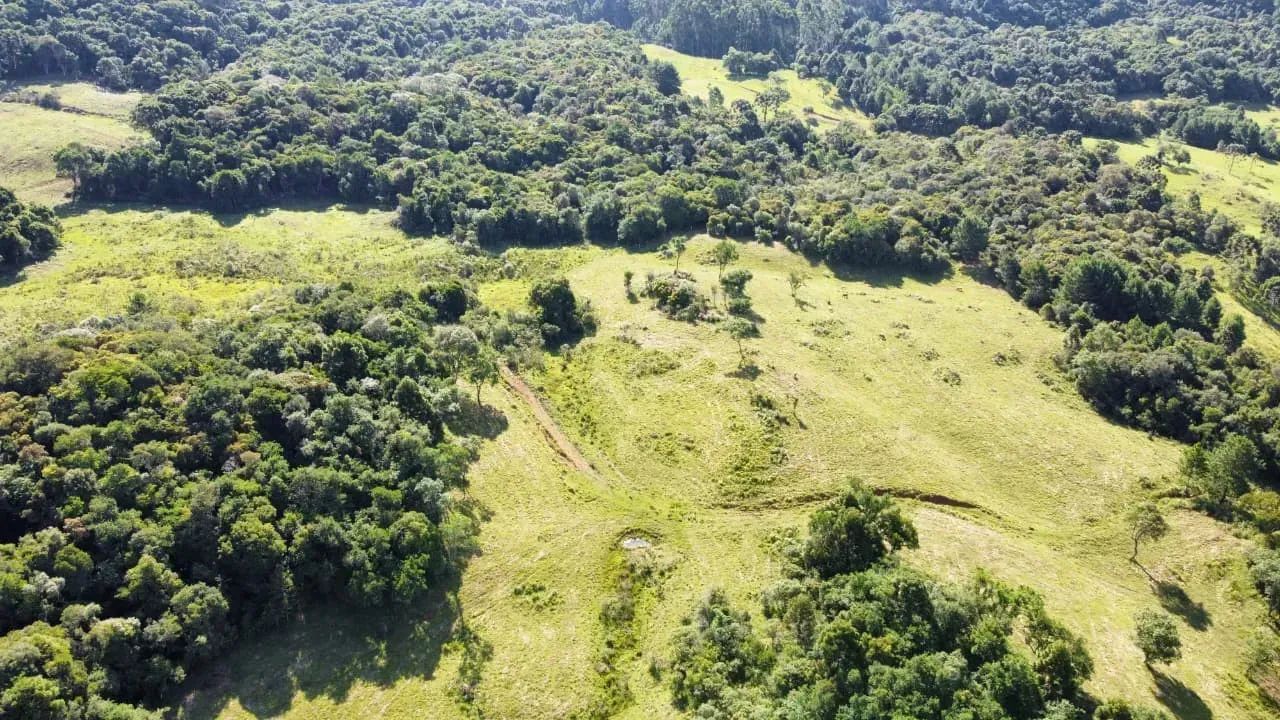 Terreno rural com rio em Bocaina do Sul - Foto 4