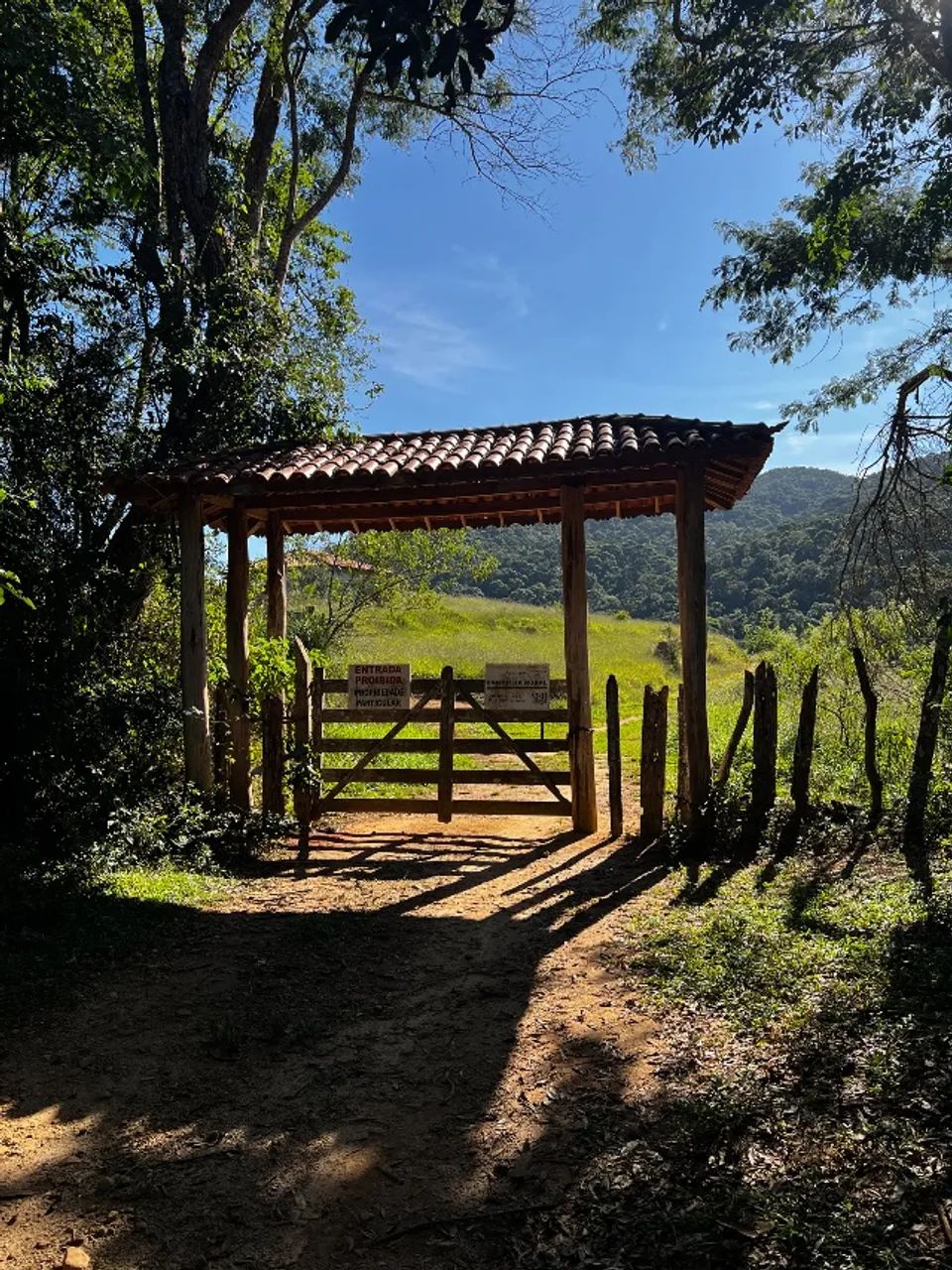 Fazenda 78 Há em Santos  - Foto 2