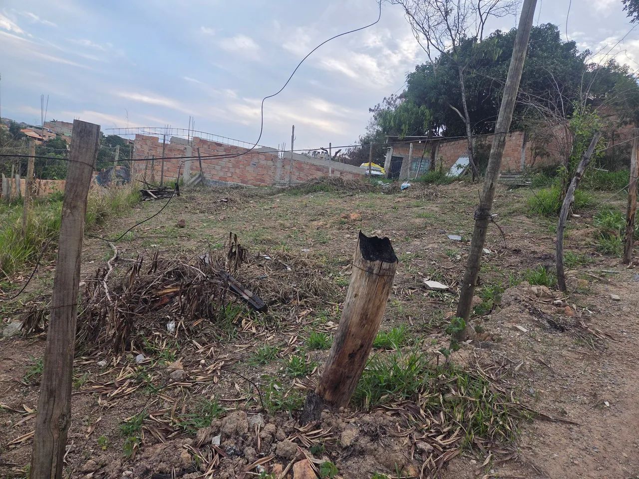 Lote - Foto 2
