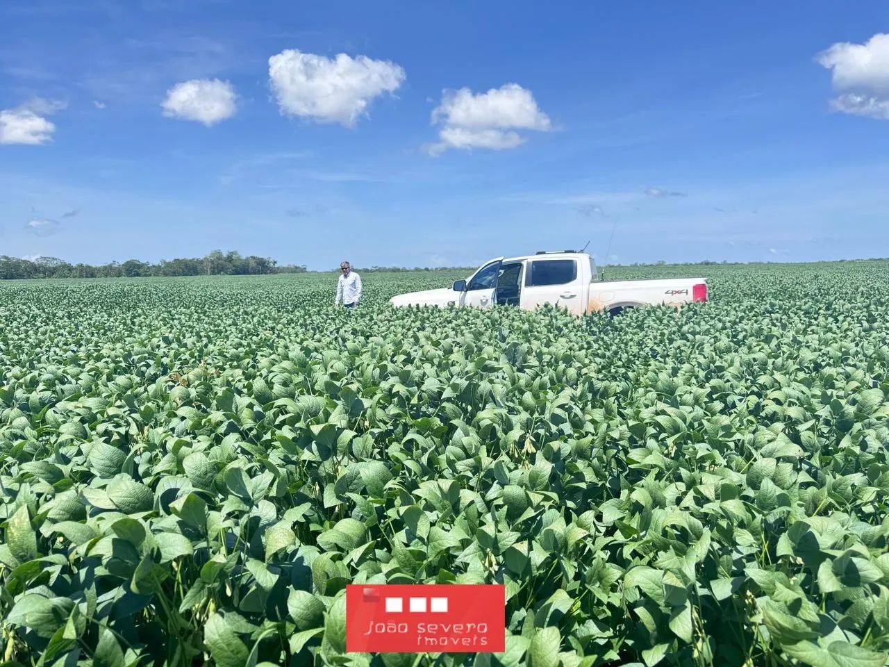 Fazenda para Venda em Pedro Afonso