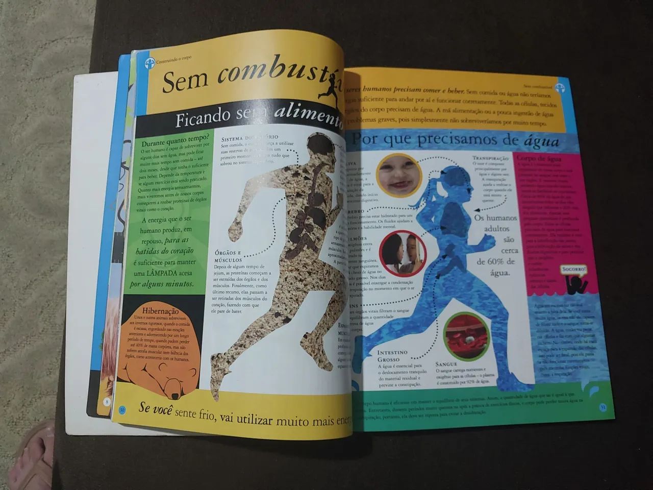 Você é o que Você Come  - Foto 3