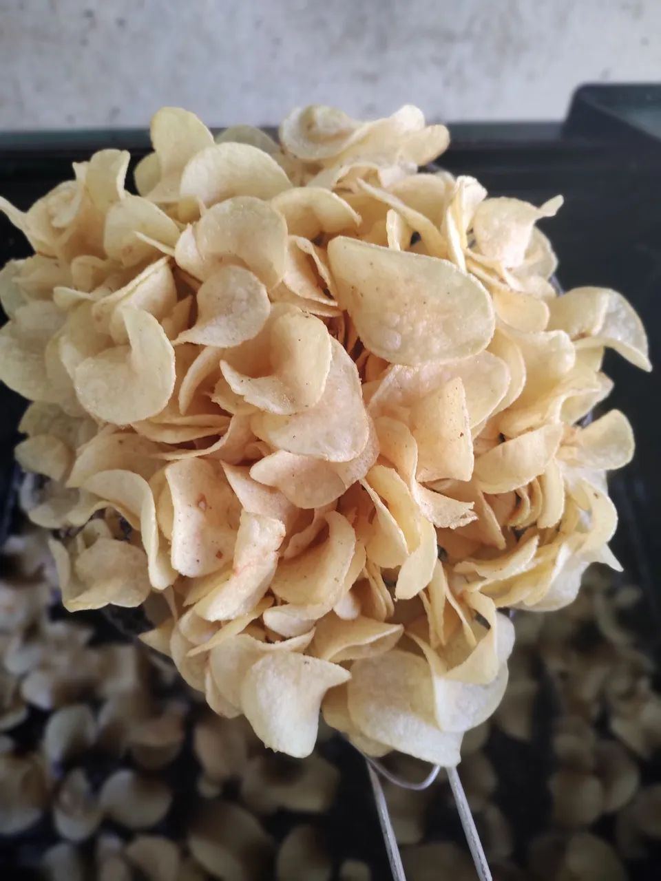 Freguesia de batata chips  - Foto 5