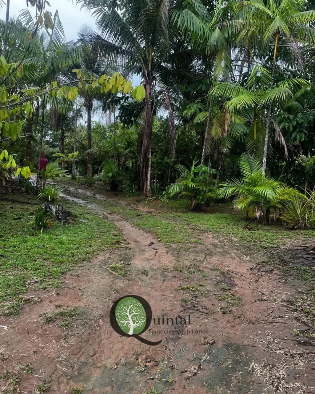 SÍTIO À VENDA |  RIO PRETO DA EVA - Foto 4