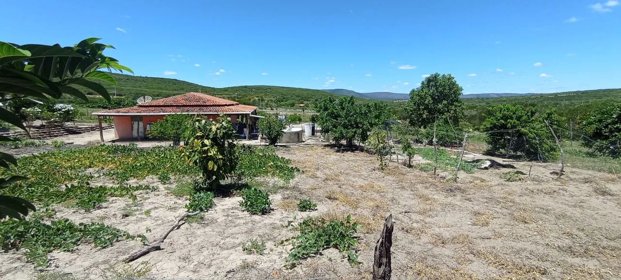 Vende ou troca esse sítio  - Foto 5