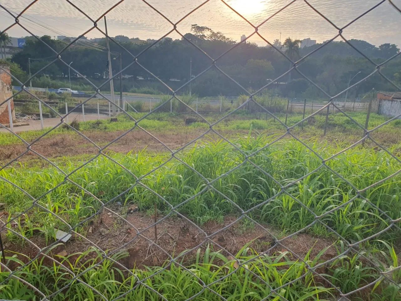 Terreno para Locação em Limeira, Cidade Jardim - Foto 4