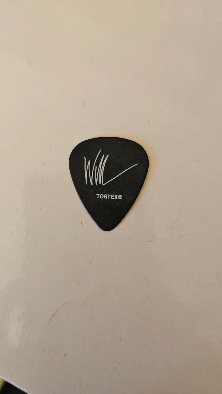 Palheta William DuVall Alice in Chains  - Foto 2