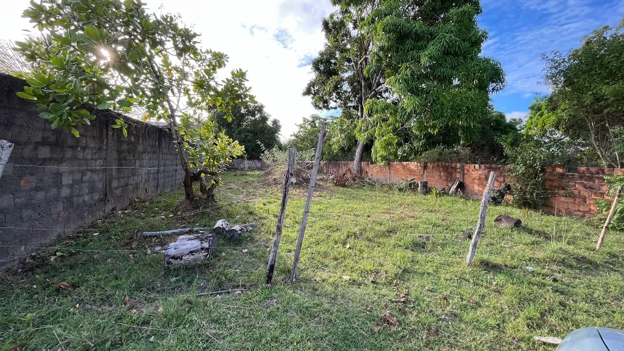 Terreno no pai André  - Foto 4