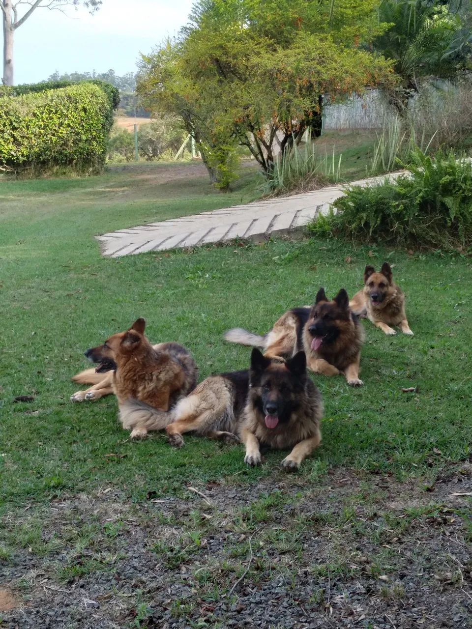 CHÁCARA JH  - Foto 5
