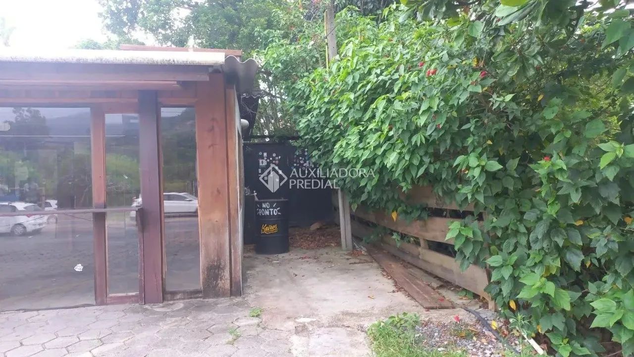 Aluga terreno no Rio Tavares - Foto 4