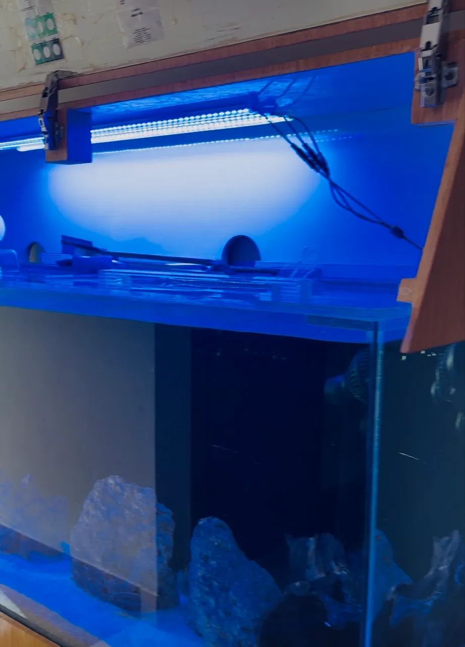 Aquário somente dinheiro , pix NÃO aceito troca ! - Foto 5
