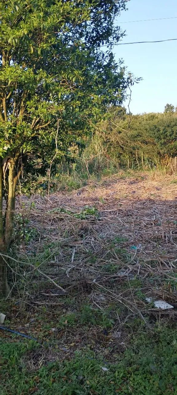 Terreno para Alugar 