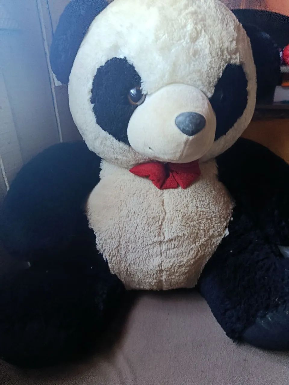 Urso panda 