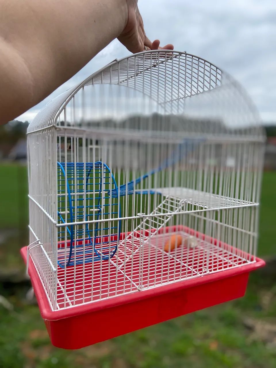 Gaiola e bola transparente Hamster - Foto 3