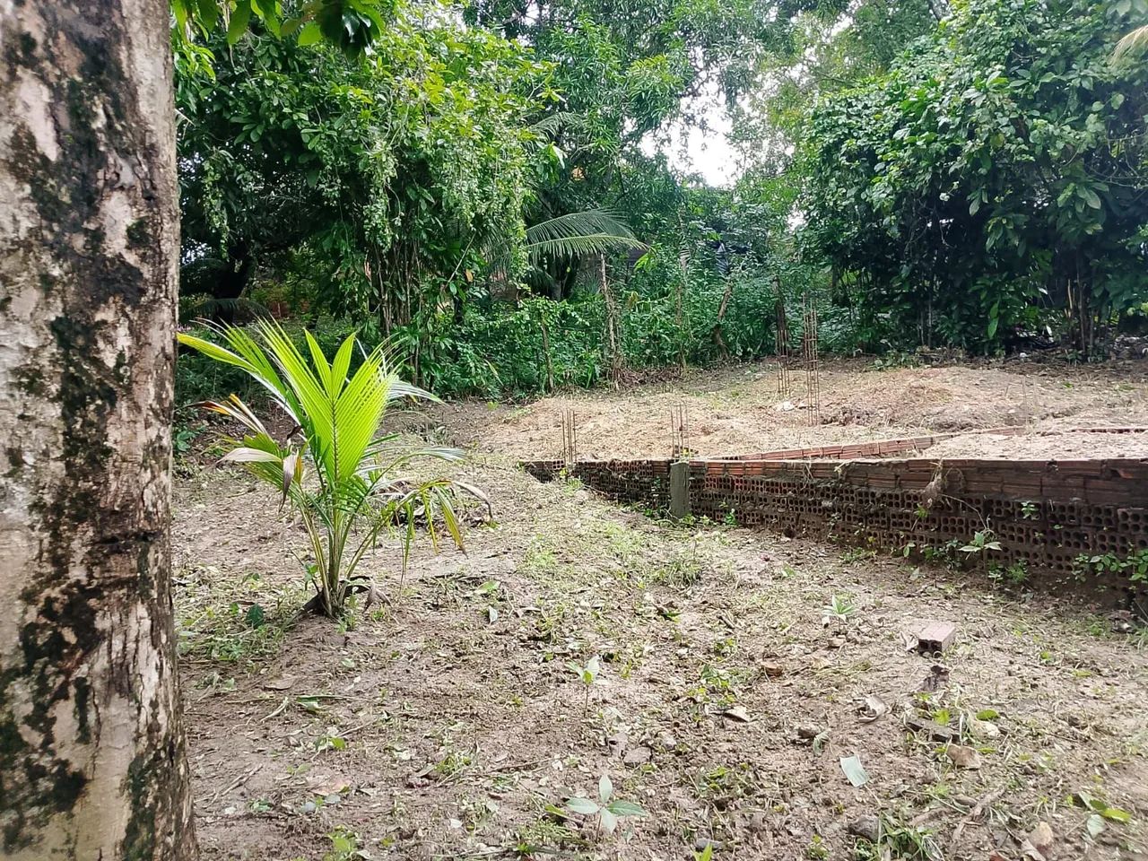 Terreno na cidade nova (gapara) - Foto 5