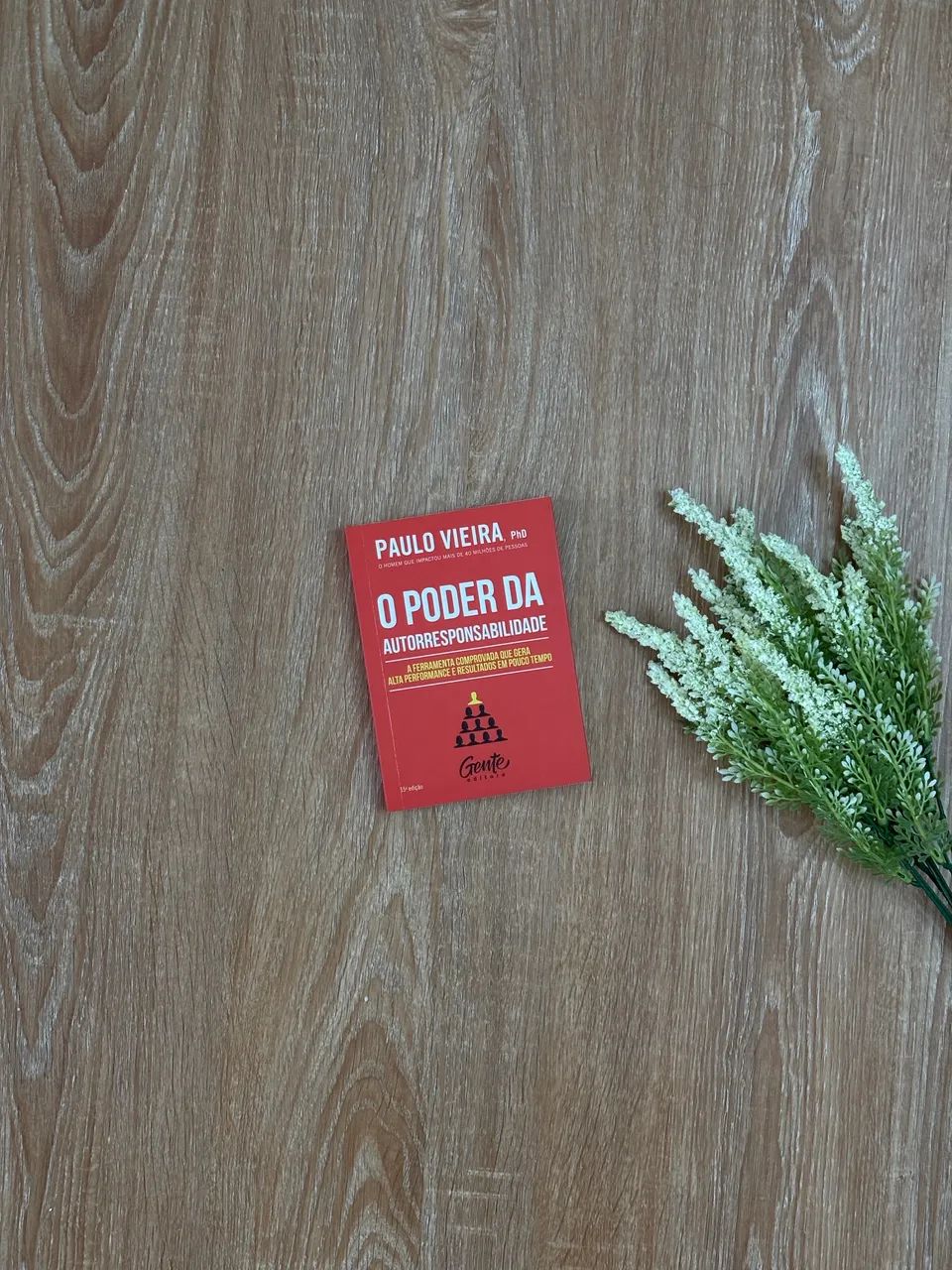 Livro de Bolso: O Poder da Autorresponsabilidade