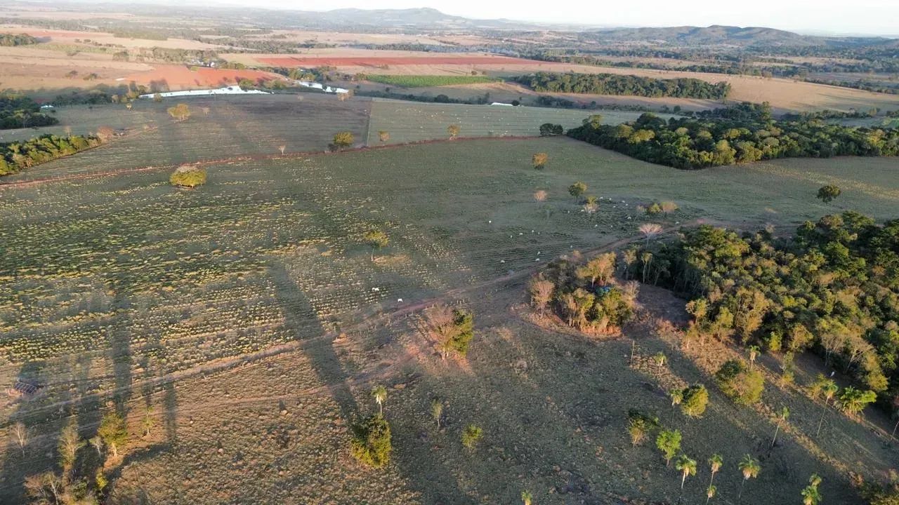 FAZENDA À VENDA | URUANA  GO - 75  ALQUEIRES - Foto 2