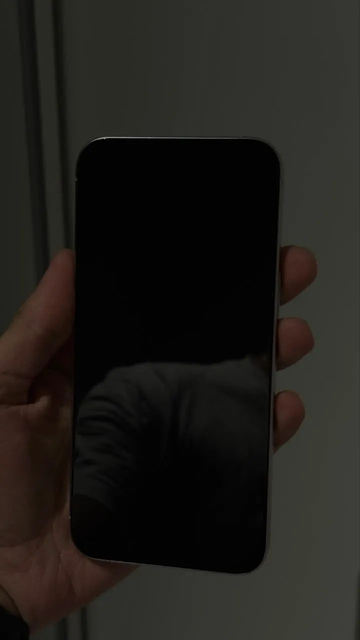 15 Pro Max - Foto 4