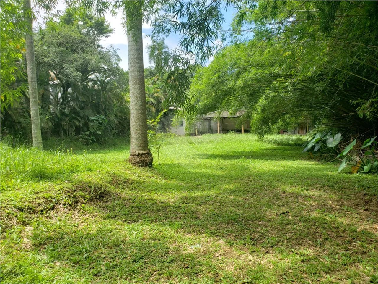 Terreno à venda em Vila amélia - SP - Foto 5