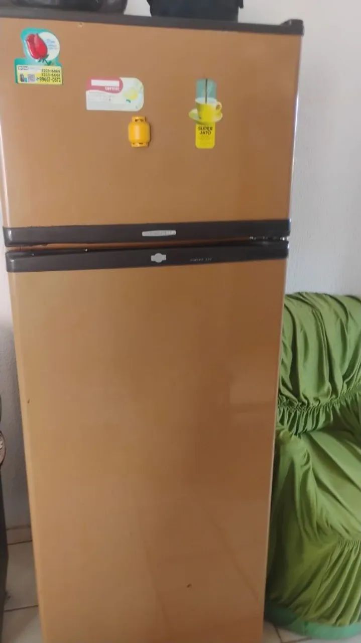 Geladeira 110v