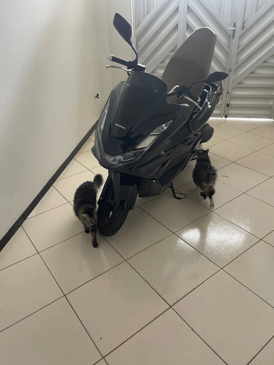Pcx Dlx 2025 modelo 2026 - Foto 3