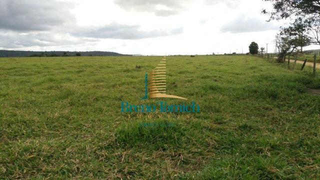 Fazenda Itamaraju - Foto 8