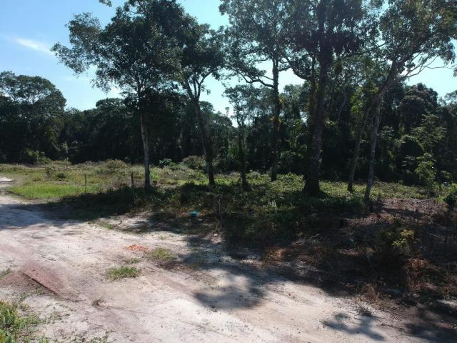 Terreno à venda, 375 m² por r$ 47.000,00 - brandalize - itapoá/sc - Foto 3