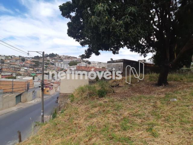 Terreno à venda em Alto dos pinheiros, Belo horizonte cod:767073 - Foto 2