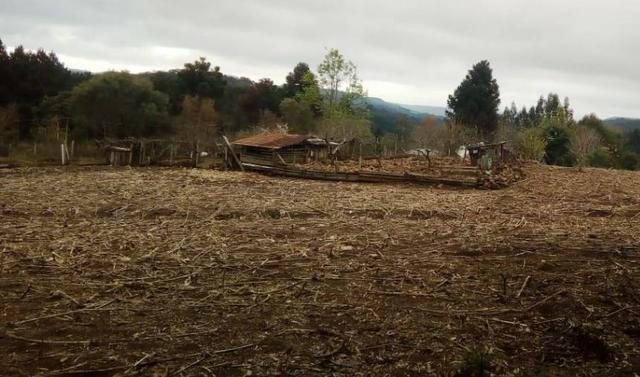 Sítio na Vila Rural (Queimadas) em Inácio Martins - Área: 5,044.09 m² - Foto 13