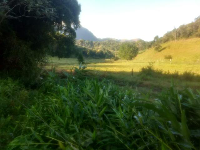 Vende-se Propriedade - Foto 5
