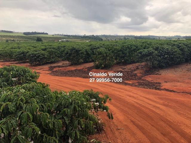 Fazenda com 35 alqueires (169,40 hectares) em São Mateus ES - Foto 7