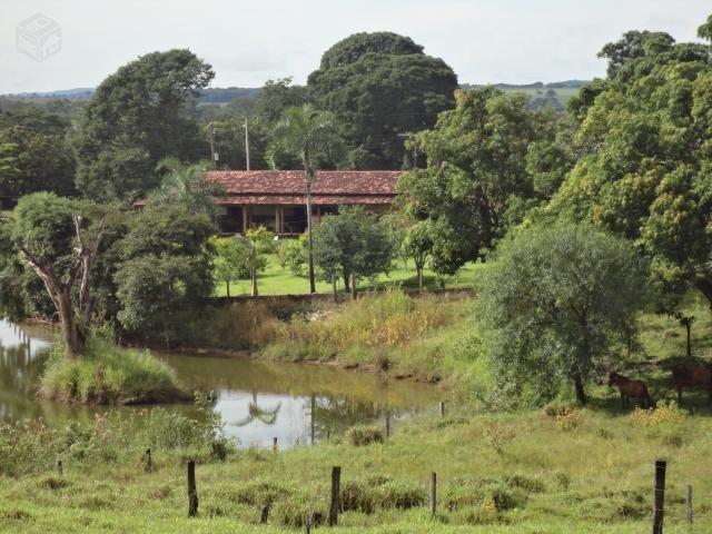 Chácara Cezarina 3 alqueires- Beira Rio dos Bois - 3 quartos com suíte - Foto 4