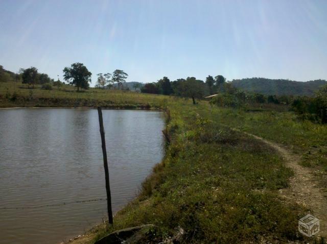 Chácara Cezarina 3 alqueires- Beira Rio dos Bois - 3 quartos com suíte - Foto 7