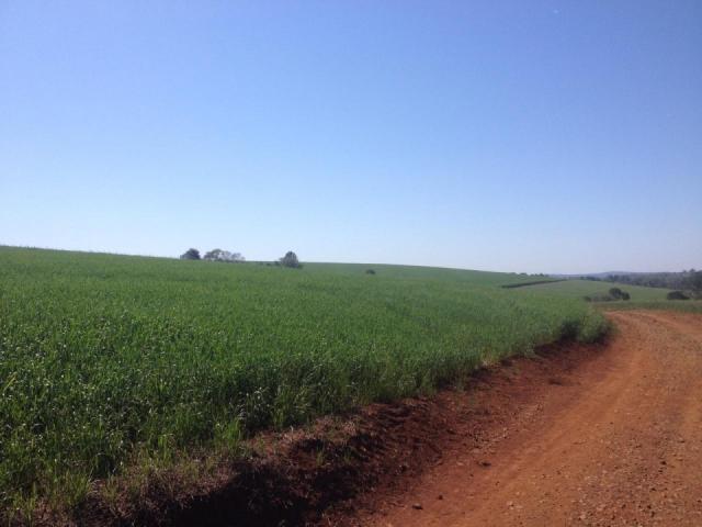 8271 | Fazenda à venda em ZONA RURAL, Espigão Alto Do Iguaçu - Foto 2