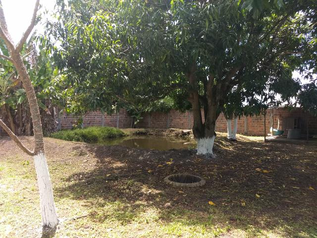 Chácara em Dias D'Ávila com escritura , ótima localização! - Foto 5