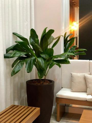 Apartamento semi-mobiliado no Residencial Porto das Pedras - Foto 5