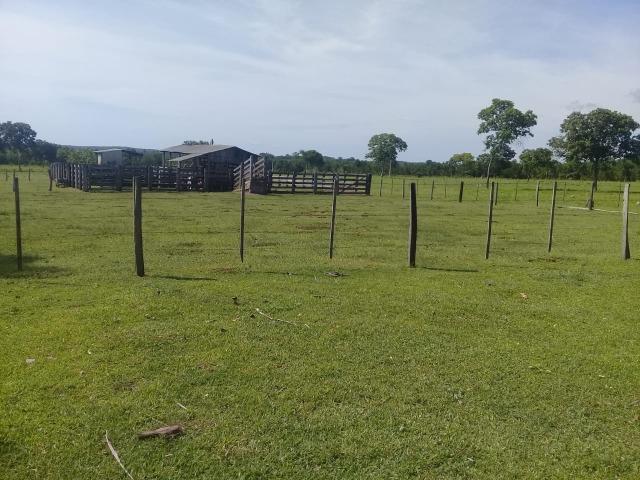 Fazenda toda formada a 99 km de Várzea Grande sentido Cáceres - Foto 4