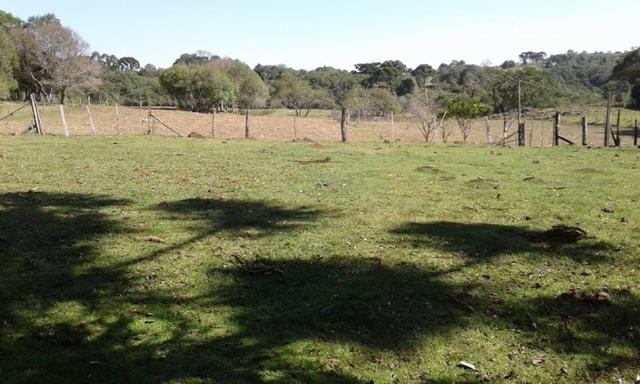 Ótim chácara geradora de rendimentos com 08 ha. - Foto 6