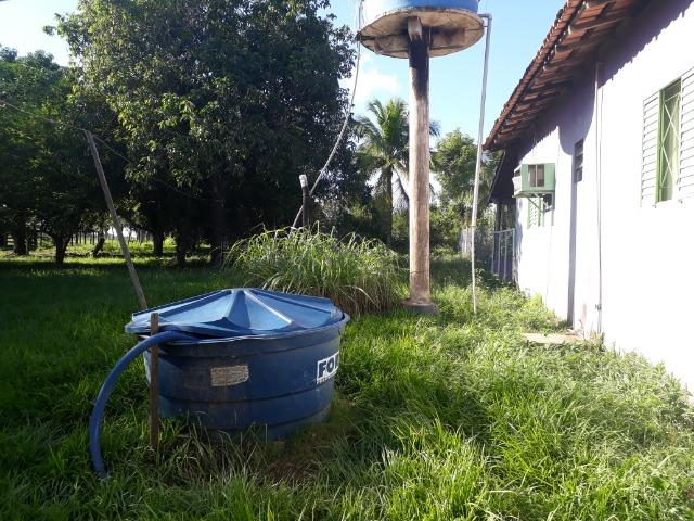 Chácara com caneiros, aves, tanque com peixes na BR 364 - Foto 14