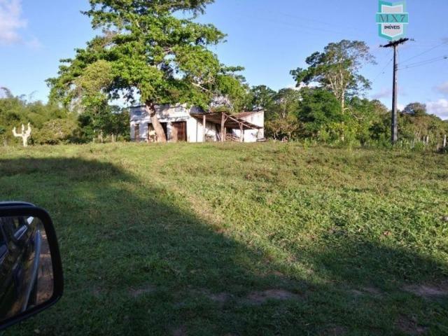 Fazenda plana, completa com 564 Hectares. Produção de Cacau e gado - Foto 5
