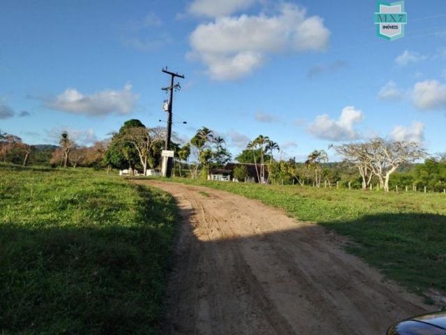 Fazenda plana, completa com 564 Hectares. Produção de Cacau e gado - Foto 14