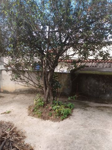 Casa linear ,320 m2 com quintal e vaga - Foto 11