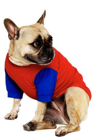 Camiseta para Pet