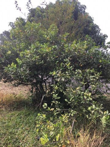 06/ Vende-se um terreno de 500m² - Foto 5