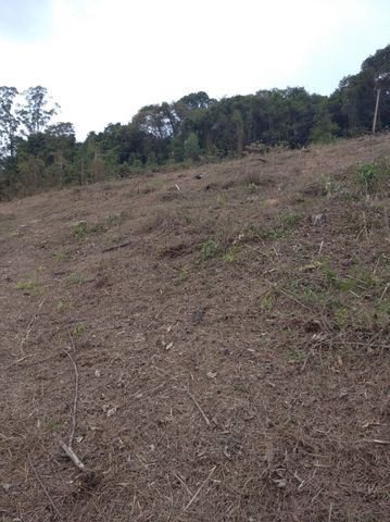 08D Pode ser seu !! 1000m² - Foto 3